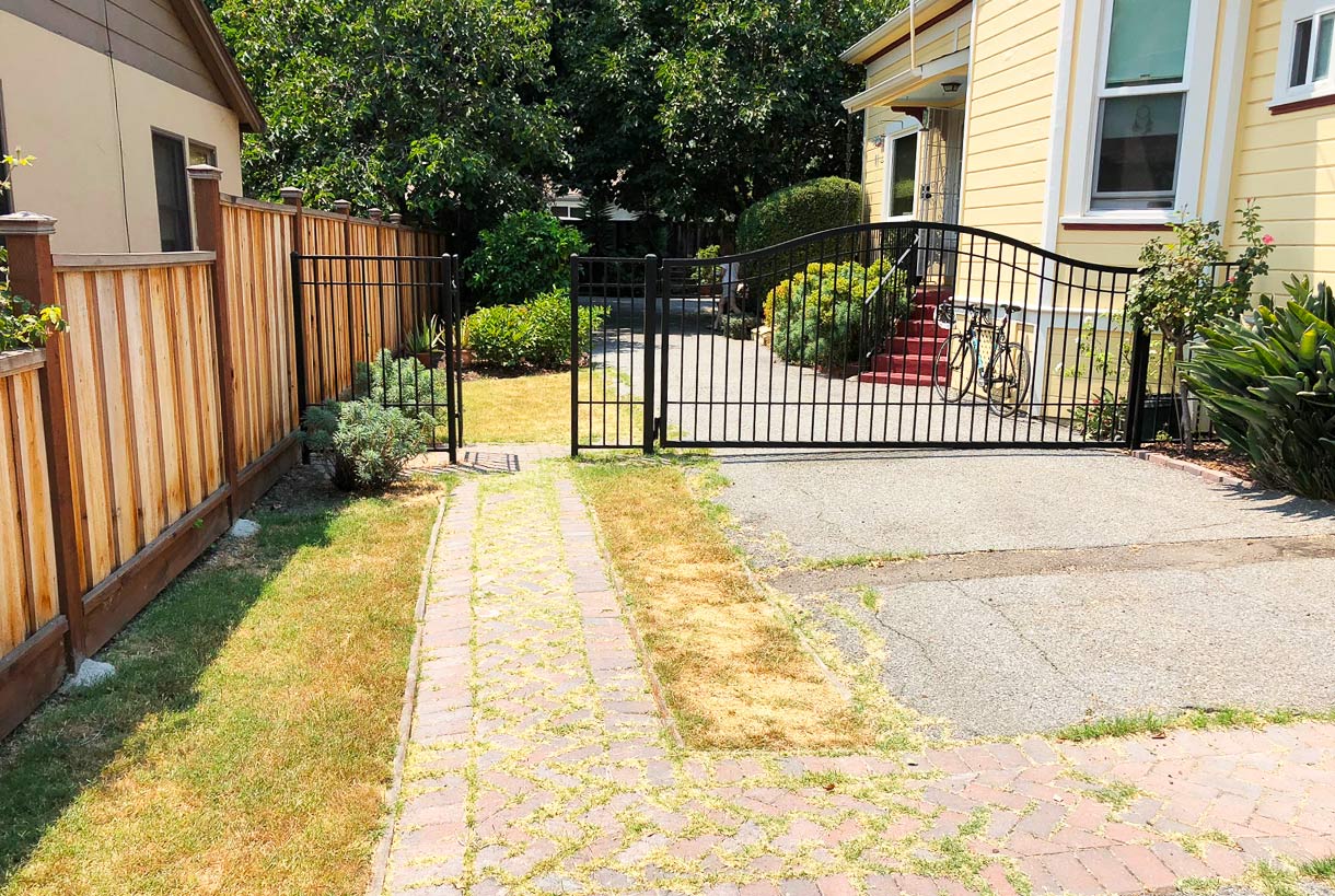 Driveway before Bay Maples